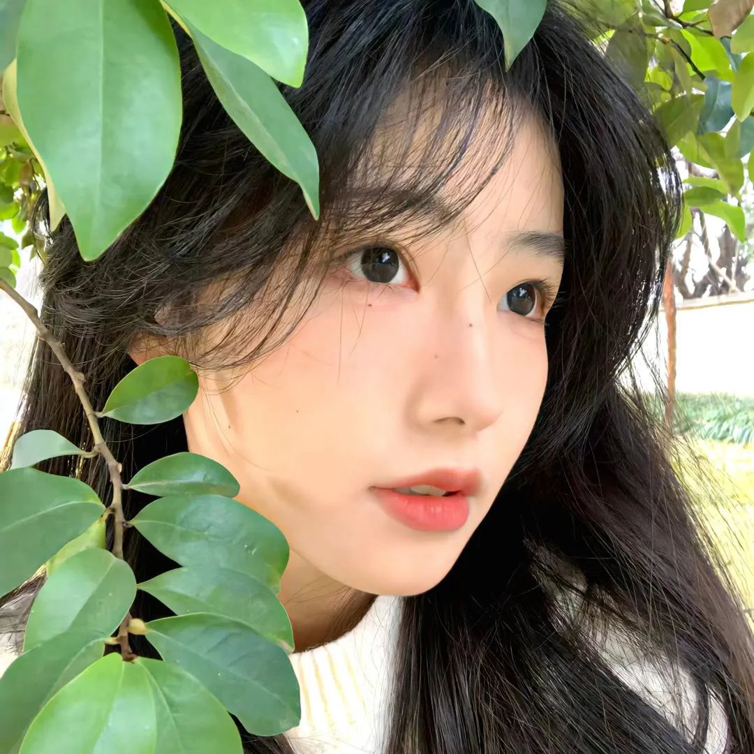 地球回音